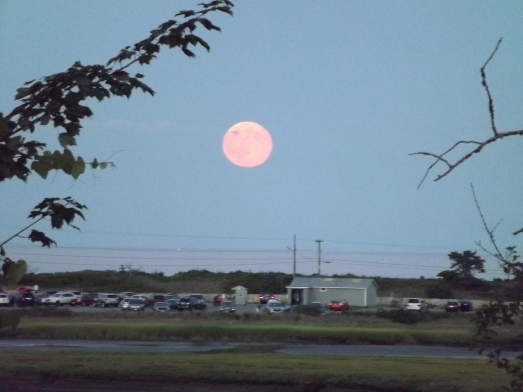 Mariner Resort Ogunquit Dış mekan fotoğraf